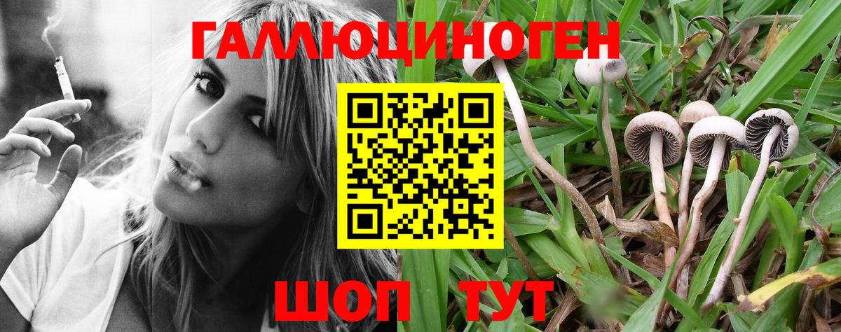 Псилоцибиновые грибы GOLDEN TEACHER  Вход с VPN  Кострома 