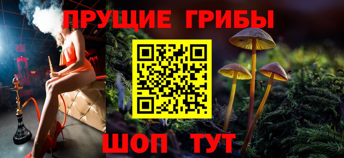 Галлюциногенные грибы мухоморы Кострома