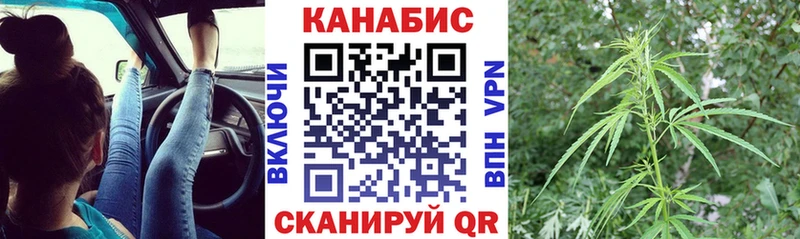 купить закладку  Кострома  Бошки Шишки сатива 